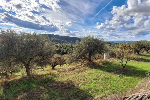 Finca i Tivissa, Tarragona, Tivissa - € 98 000 | Ref: CC833 - foto 18